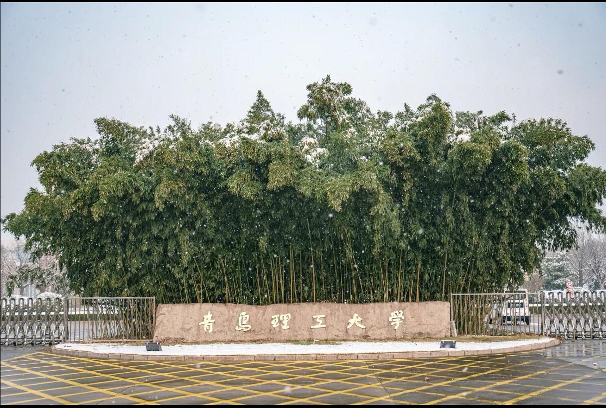 青岛理工大学临沂（费县）校区搬迁进入倒计时！近期公务用车租赁项目完成定标，中大型