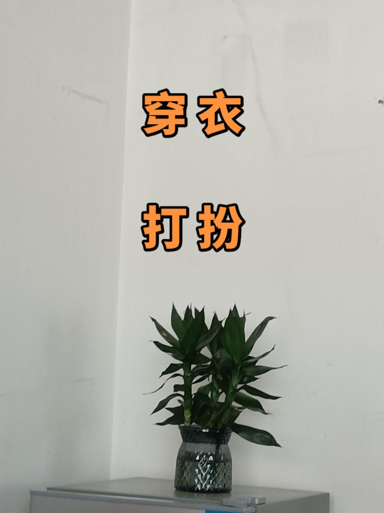 不同的天气穿上适宜的衣服，长短薄厚
不同的场合穿上得体的衣服，正装休闲穿衣打扮秀
