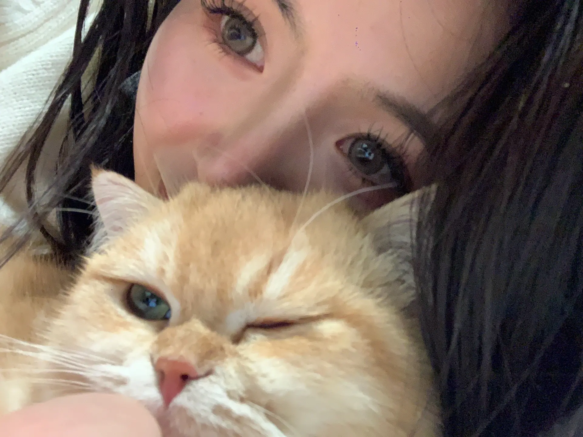 我和我的猫 这个世界不能没有小猫