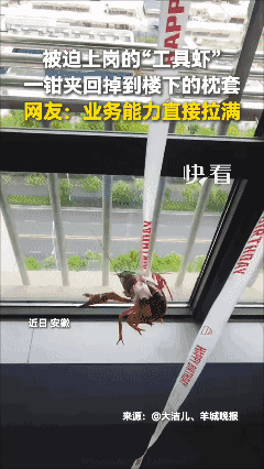 死里逃生的小龙虾٩(^‿^)۶🦞
