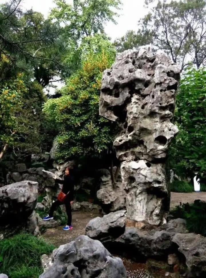 一次，陆毅和郭京飞一起去丈母娘家，刚进门，丈母娘就命令郭京飞：快去做饭，陆毅还没