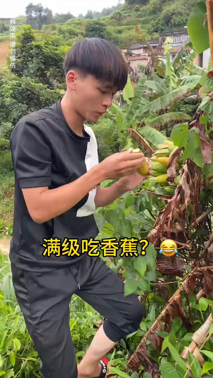 满级吃香蕉？
满级吃香蕉？