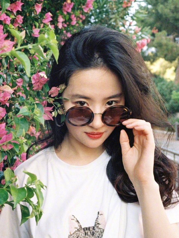 刘亦菲📸 