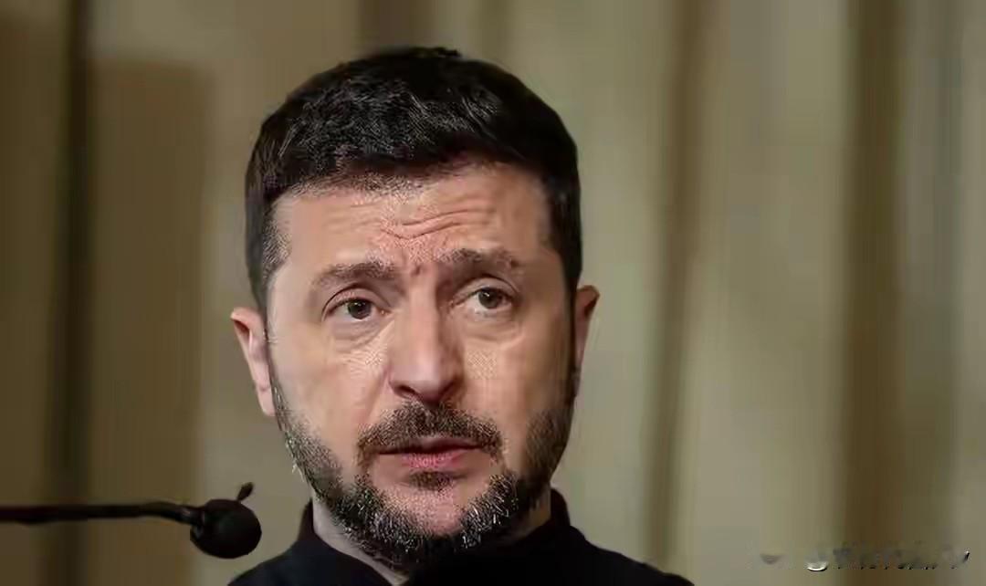 美国总统特朗普和乌克兰泽连斯基最近玩起太极推手。11月21号泽连斯基上电视说难听