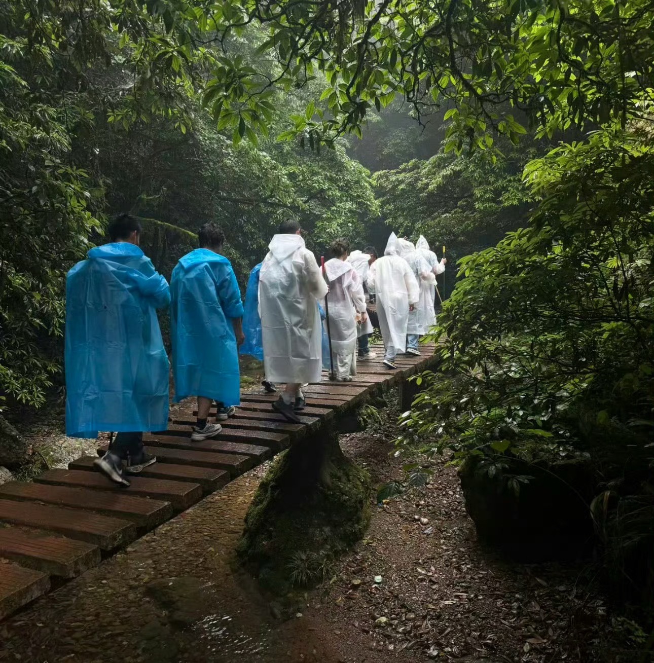 凌晨山里起雾碰上雨天，穿白雨衣真的离谱。雾蒙蒙的看不清轮廓，远处人影飘飘忽忽，迎