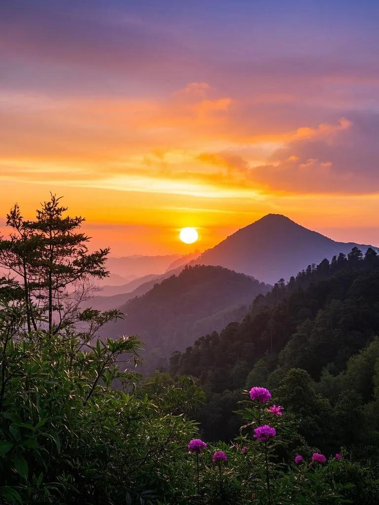 井冈山夕阳 薄暮登井冈山巅，夕阳如金球悬天，染得云霞绚烂，山林半明半暗，翠竹与杜