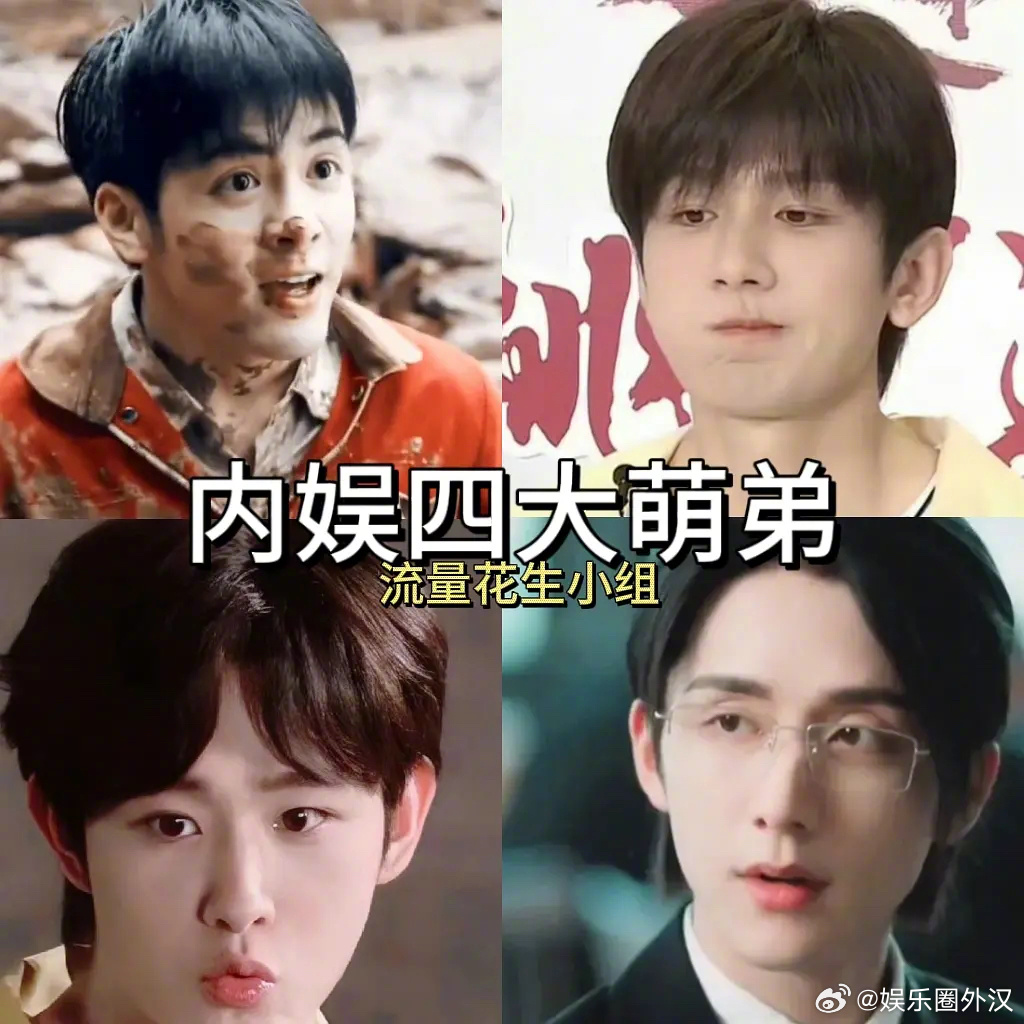 曾舜晞 成毅 田嘉瑞 张新成网友选的内娱四大萌弟 ​​​