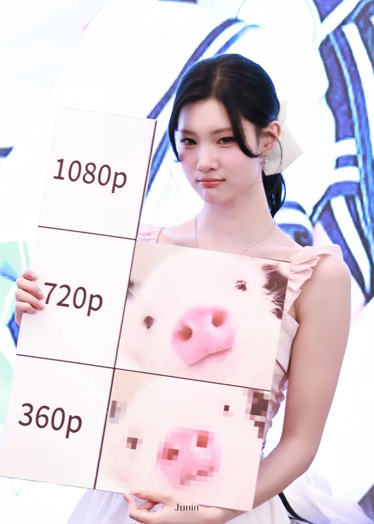 260731 上海线下签售我家小猪🐽 