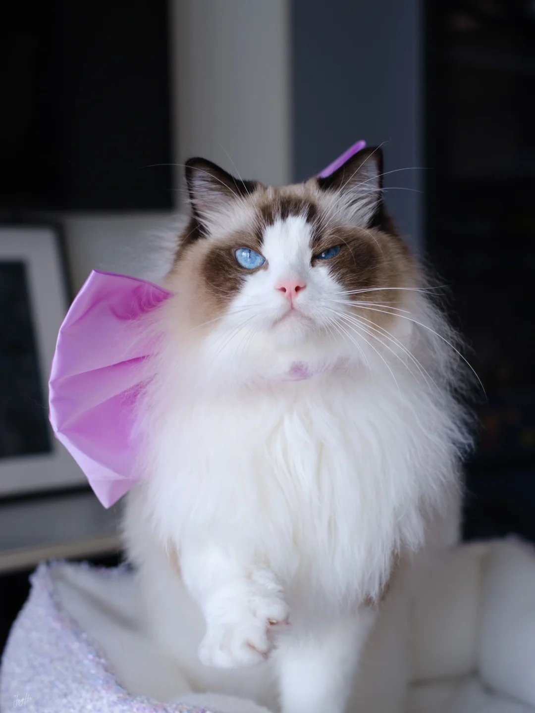 打扮成这样会有汤姆喜欢吗？