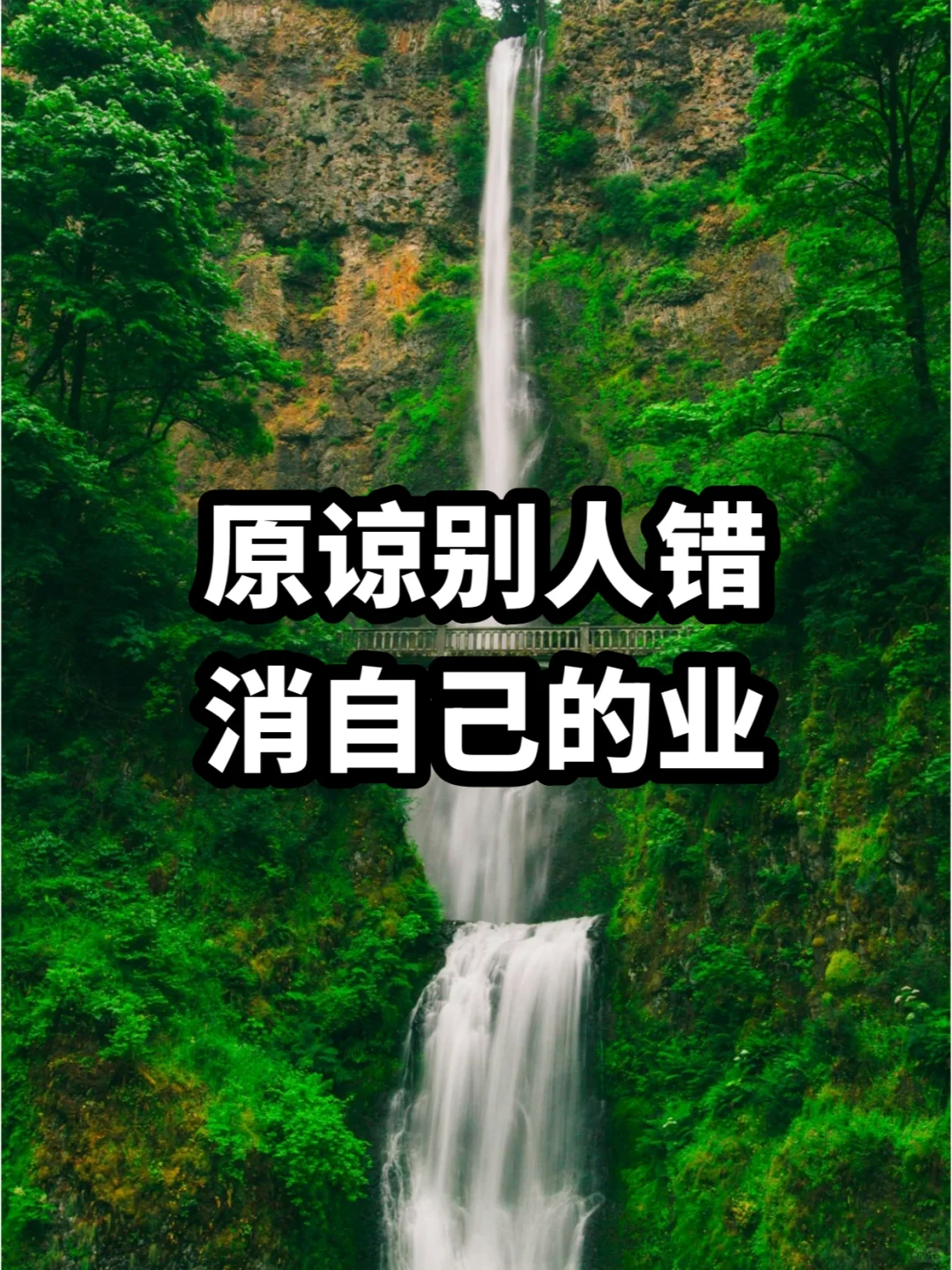 素食10年：原谅别人的错，消的是自己的业