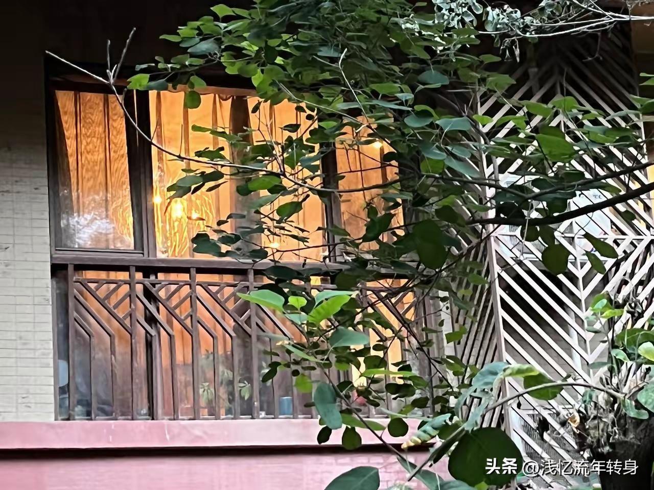 结婚没成，先成了一场拉锯战。
一边是郑州大学的侄子，谈了个本地姑娘。
谈恋爱时谁