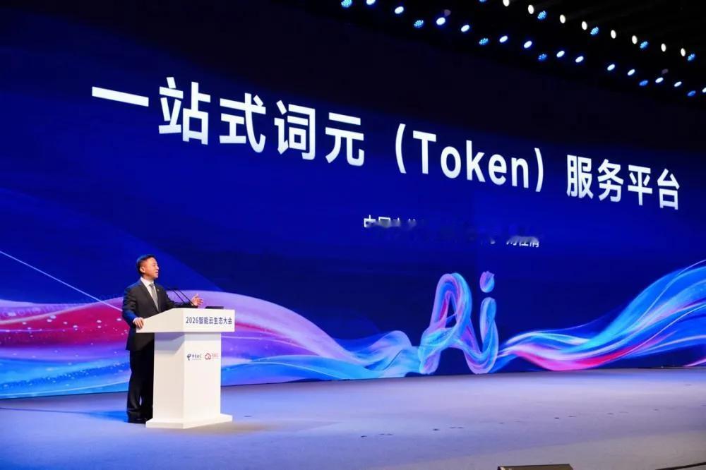5月17号，中国电信正式推出"Token套餐"，最低9块9一个月。

这事儿大多