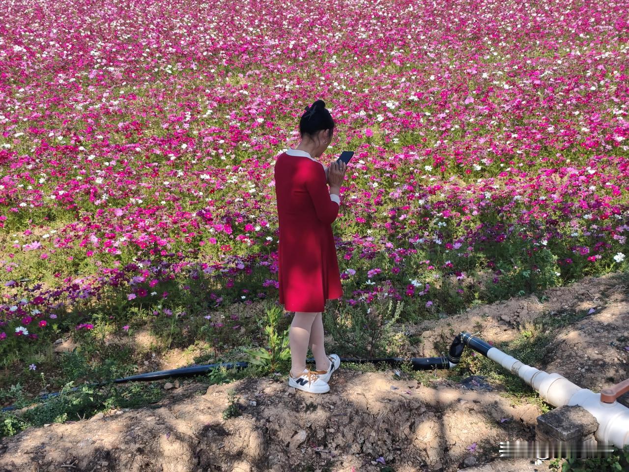 58岁的农村老女人我还在东莞打工，看到了花开我还丑美还要拍照。如果有孙子了，也许