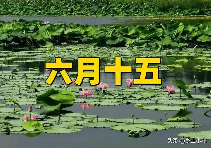 今日农历六月十五，再忙也要牢记：一不拜、二不出、三不动
 
农历每月十五，传统历
