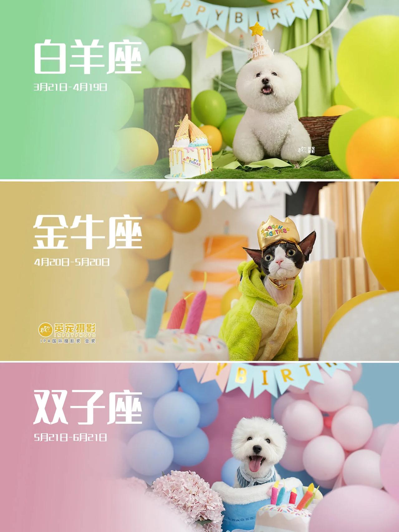 挑战创造十二款生日布景
已经完成三个星座，双子座全新上线，巨蟹座已经在来的路上，