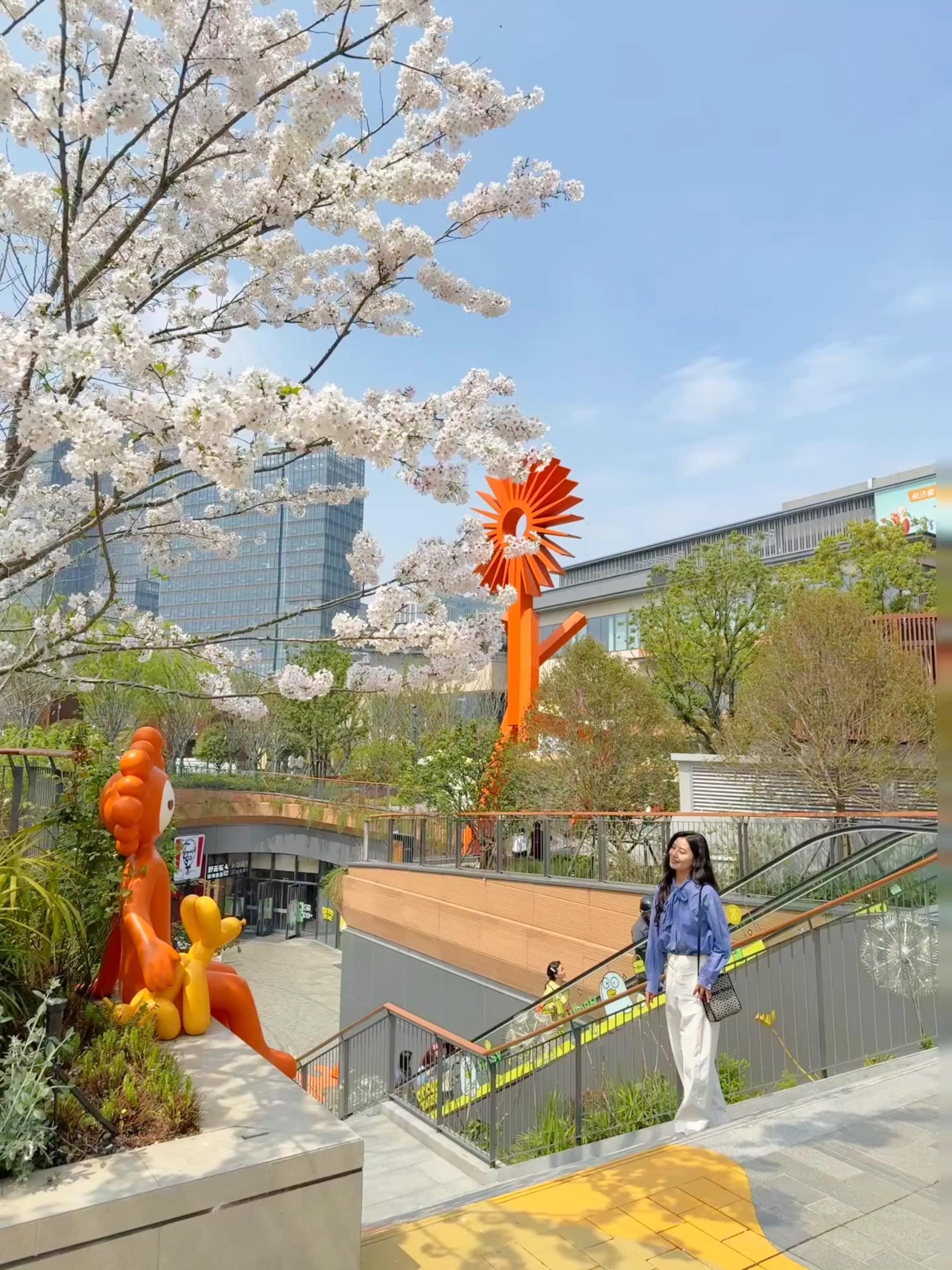 果然！武汉最好看的樱花公园都是免费的！ 武汉的春天真的太会了！ 新晋网...