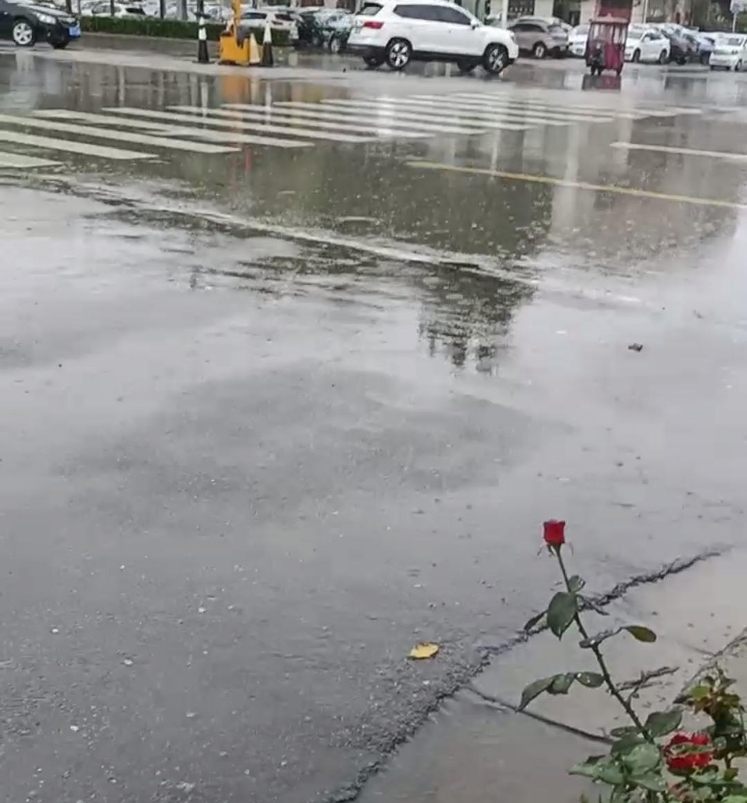 这个星期我们这一共下了两场雨
一场下两天，一场下三天
冷的我差点就把秋裤套上了