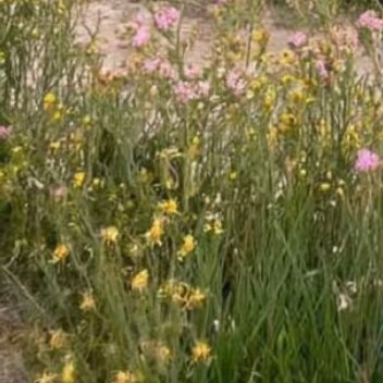 每日一善  每日一善   阳光信用 无论你面临什么样的困境，只要坚持自我调整，就