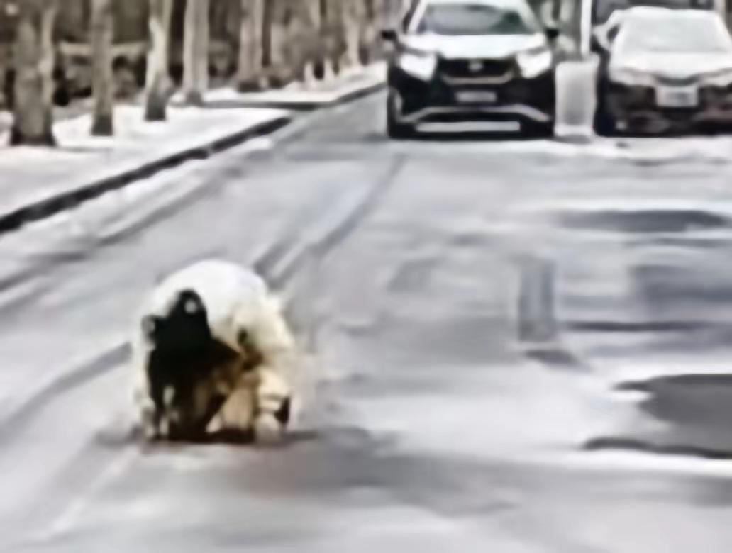 远嫁的痛太戳心！贵州女子远嫁河北十年，

父亲离世却被丈夫以路费太贵阻拦，只能在