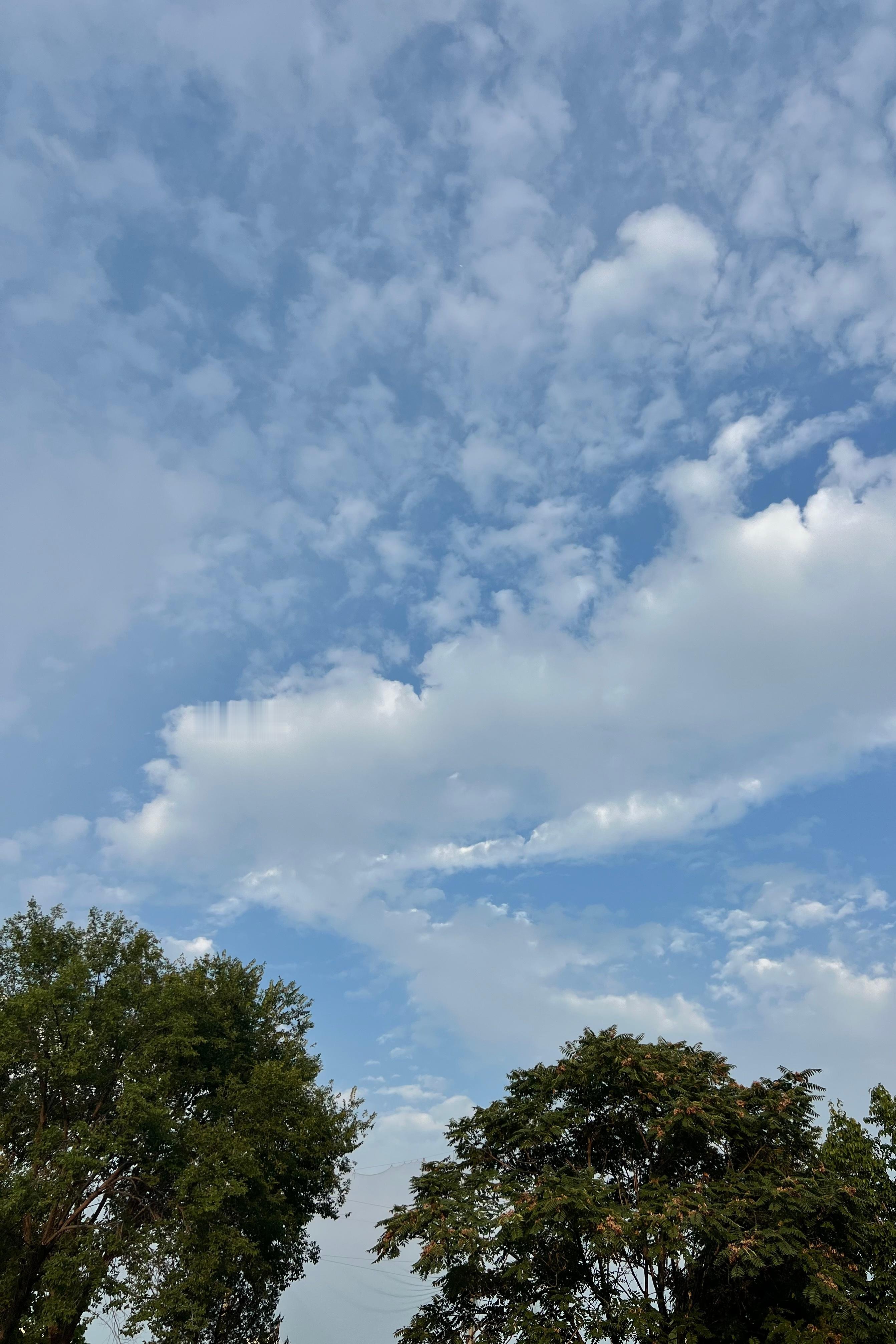 立秋日，闷了大半天儿，忽的变清爽变好，不是小好是大好。 ​​​