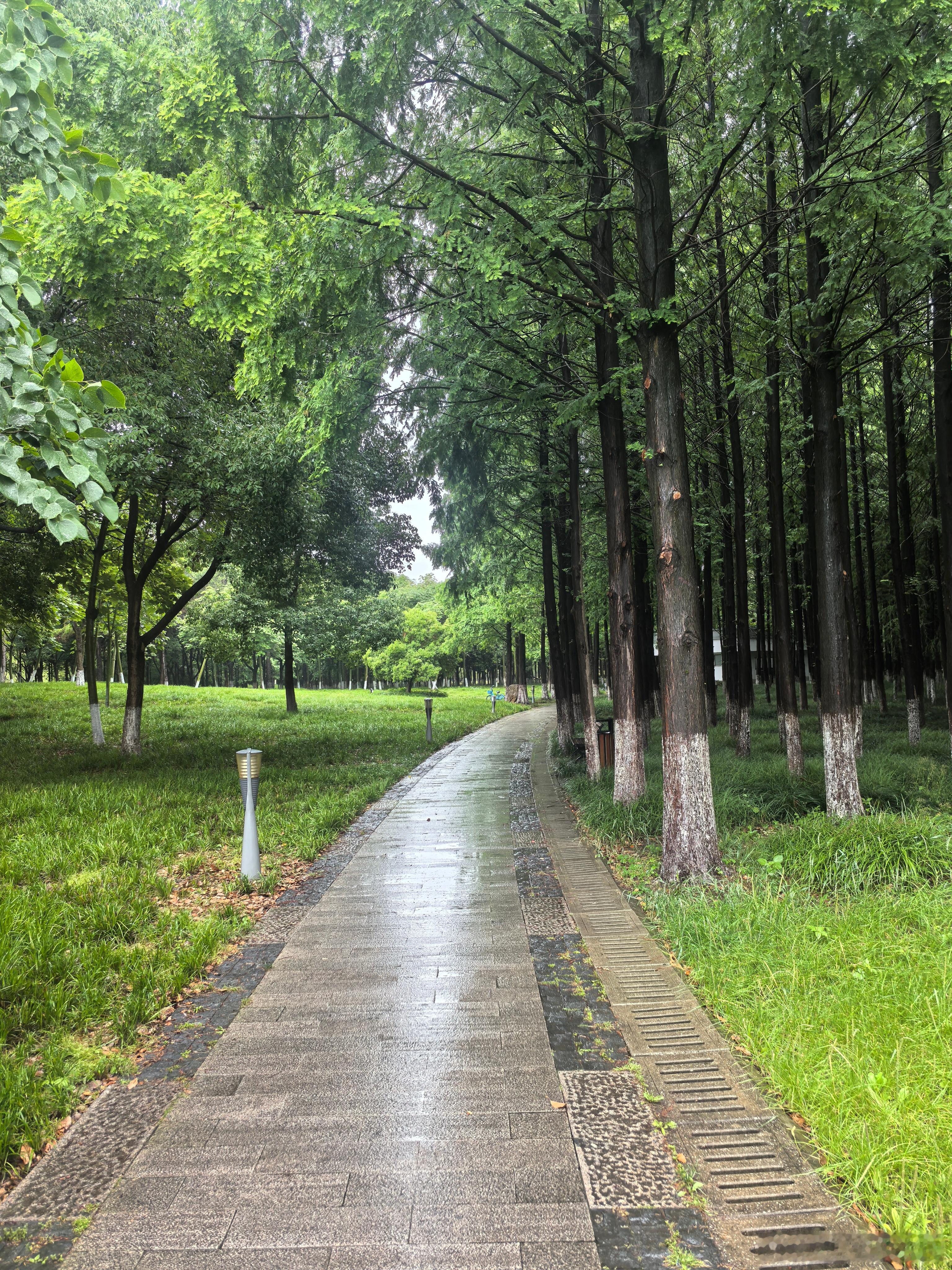 在阳澄湖边，羡慕孩子们在雨中无忧无虑地玩耍。其实，只要你无忧无虑了，成年人也可以