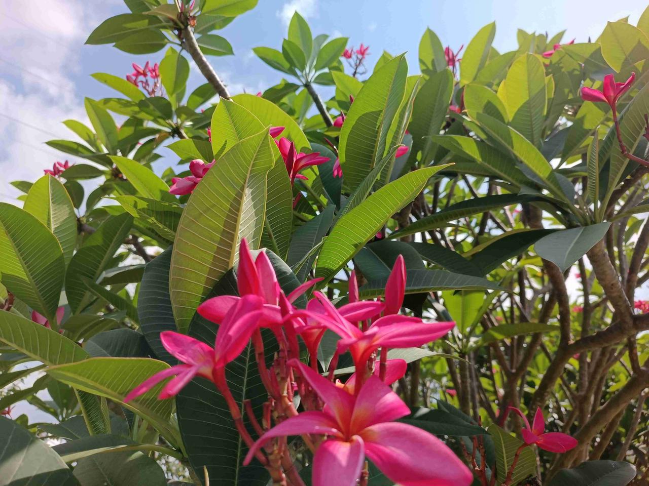 我的今日状态：🏃‍➡️运动
我这里的天气：☀️晴天