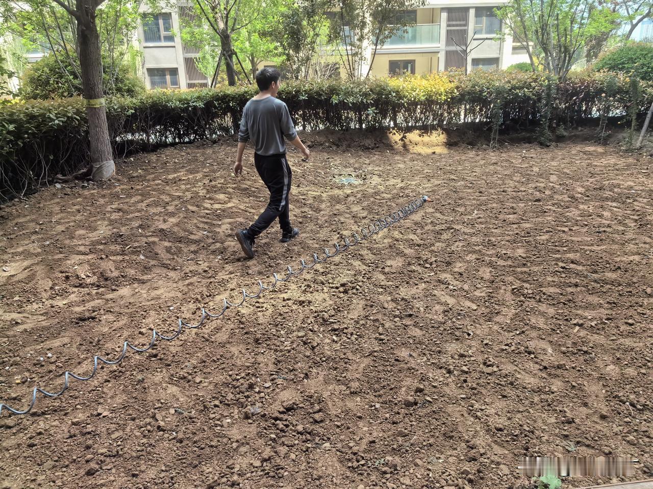 新小区物业让我计划落空，但让我活在了希望里。

很享受这种从无到有的过程，让一向