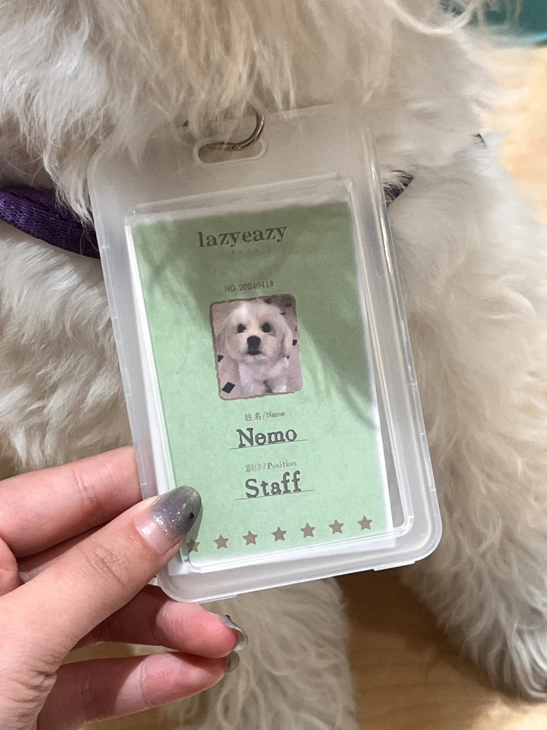 恭喜Nemo成为打工狗一枚🥰