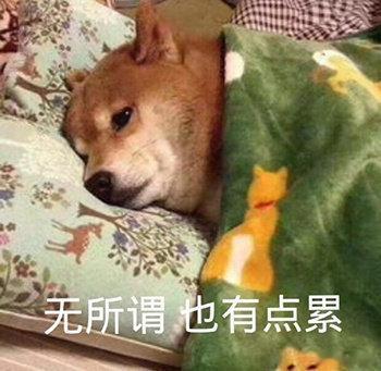 #奶奶每天遛狗遛八个小时#每天跑一个马拉松的狗子:谁懂，我明明是家养犬，却活得比