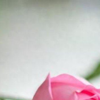 正能量[超话]正能量 真正的仪式感从来不是为了满足自己的虚荣，而是把细碎的生活也