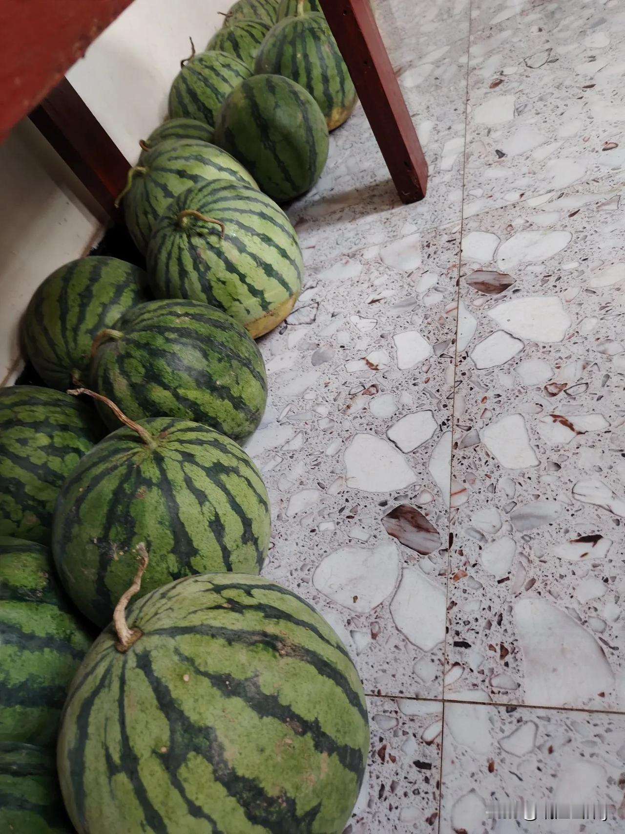 我们都是种地的人，以前自己种瓜的时候，无论是西瓜丶甜瓜丶白瓜还是八方瓜，都是一袋