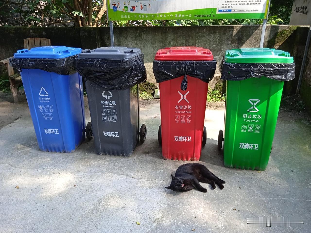 五年前在路边看到当时推行垃圾分类新设的分类垃圾桶，推广了几年效果如何？除了高楼撤