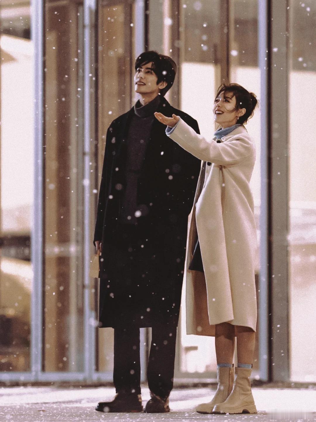 小说描写林屿森最不ooc的一集 MV 里的雪地名场面太绝了！宋威龙一袭黑大衣伫立