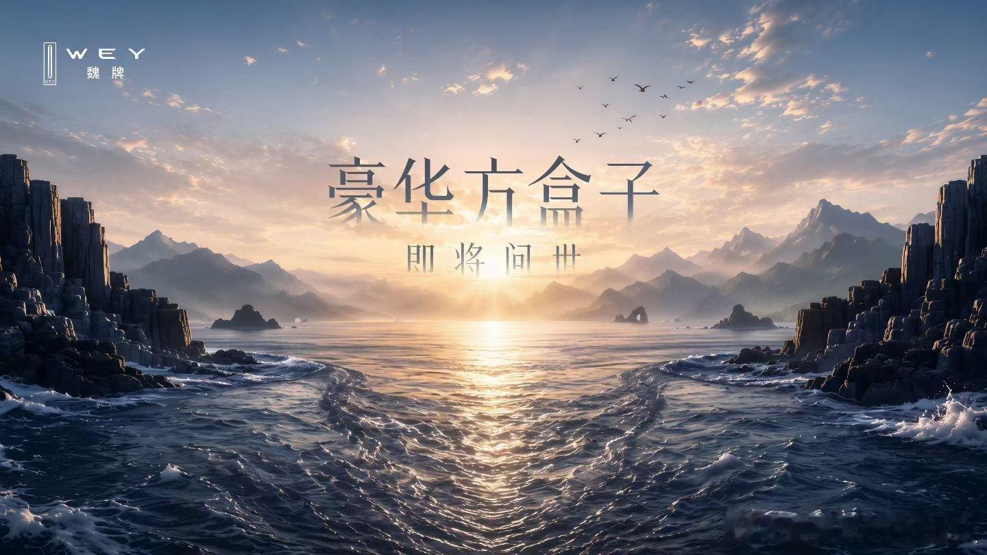 魏牌的方盒子 终于来了总算开窍了这算是拨乱反正了么宝藏新车 ​​​