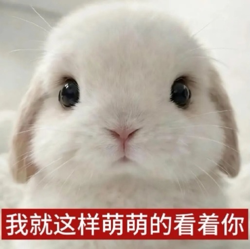 可以帮忙找一下这两张图有什么不同吗🧐 