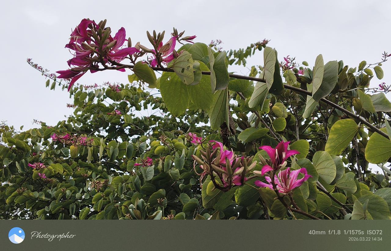 如何评价张雪峰在教育领域的贡献优秀的营销人才，杰出的教育产业开拓者之一：通过夸张