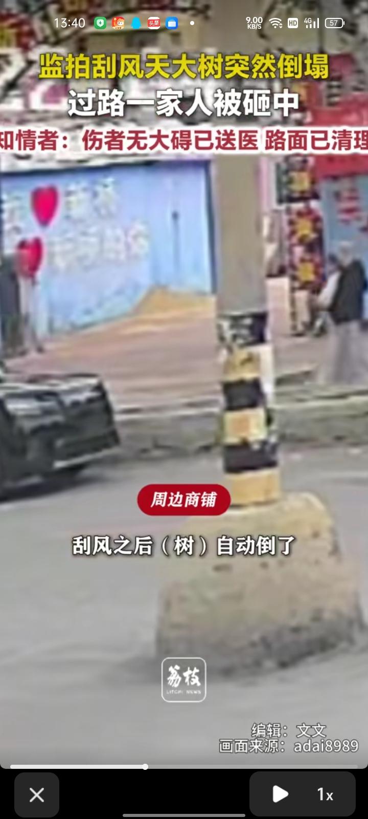 10月17日，山东烟台。街道上刮大风把树吹倒，里面的树干都烂空了，过路行人被砸中