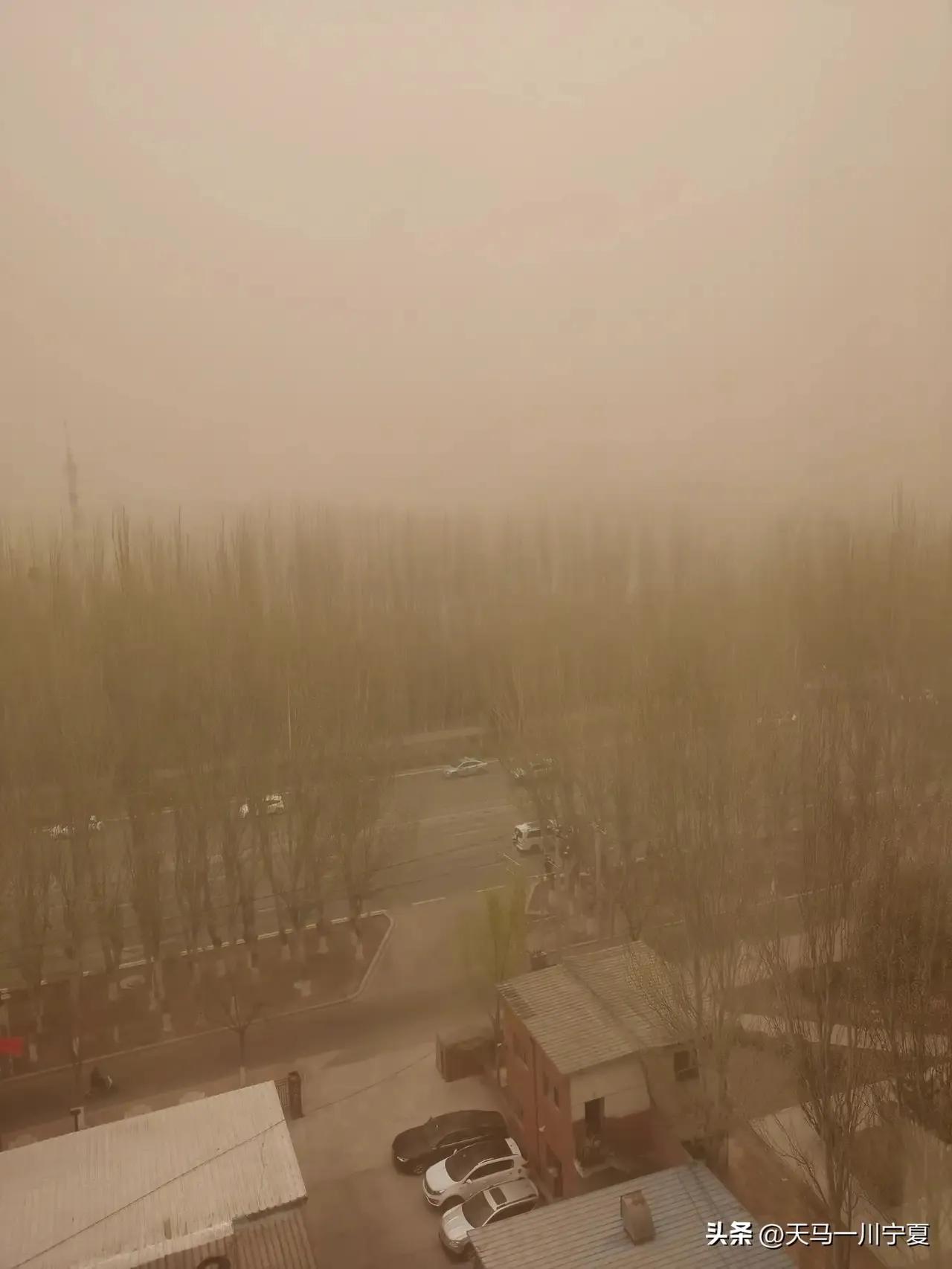 李宗孝：北京悍风
月隐灰云沙满天，
万木颠狂百兽颤。
推楼过街行无止，
拍窗摇门
