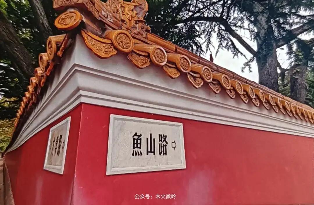 王铎：青岛这个“网红角”，实际上就是一个笑话。有什么好看的？青岛好看的街角有得是