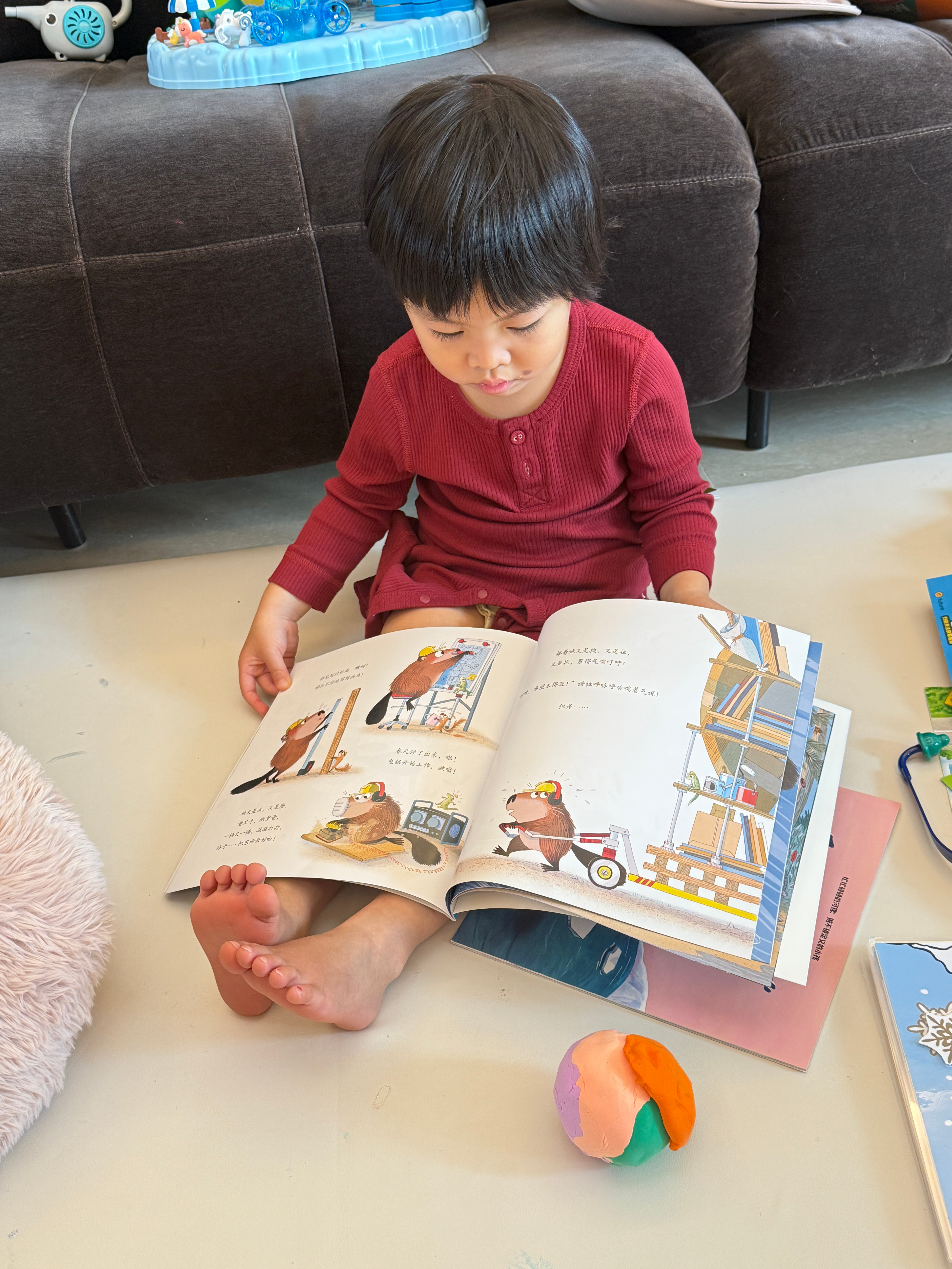 球宝每天都要自己看好久的书，一边看一边嘴里念念有词的但是每一次，几乎是每一次，都