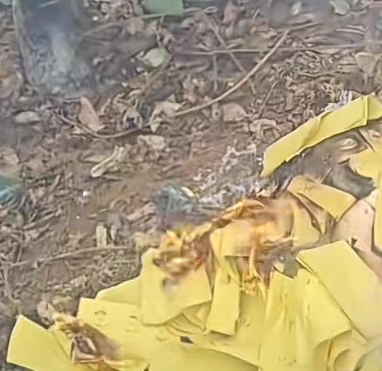 你一句我以为是无主坟呢，就可以侵占别人母亲的坟，这未免有点太不讲理了吧！
广州的