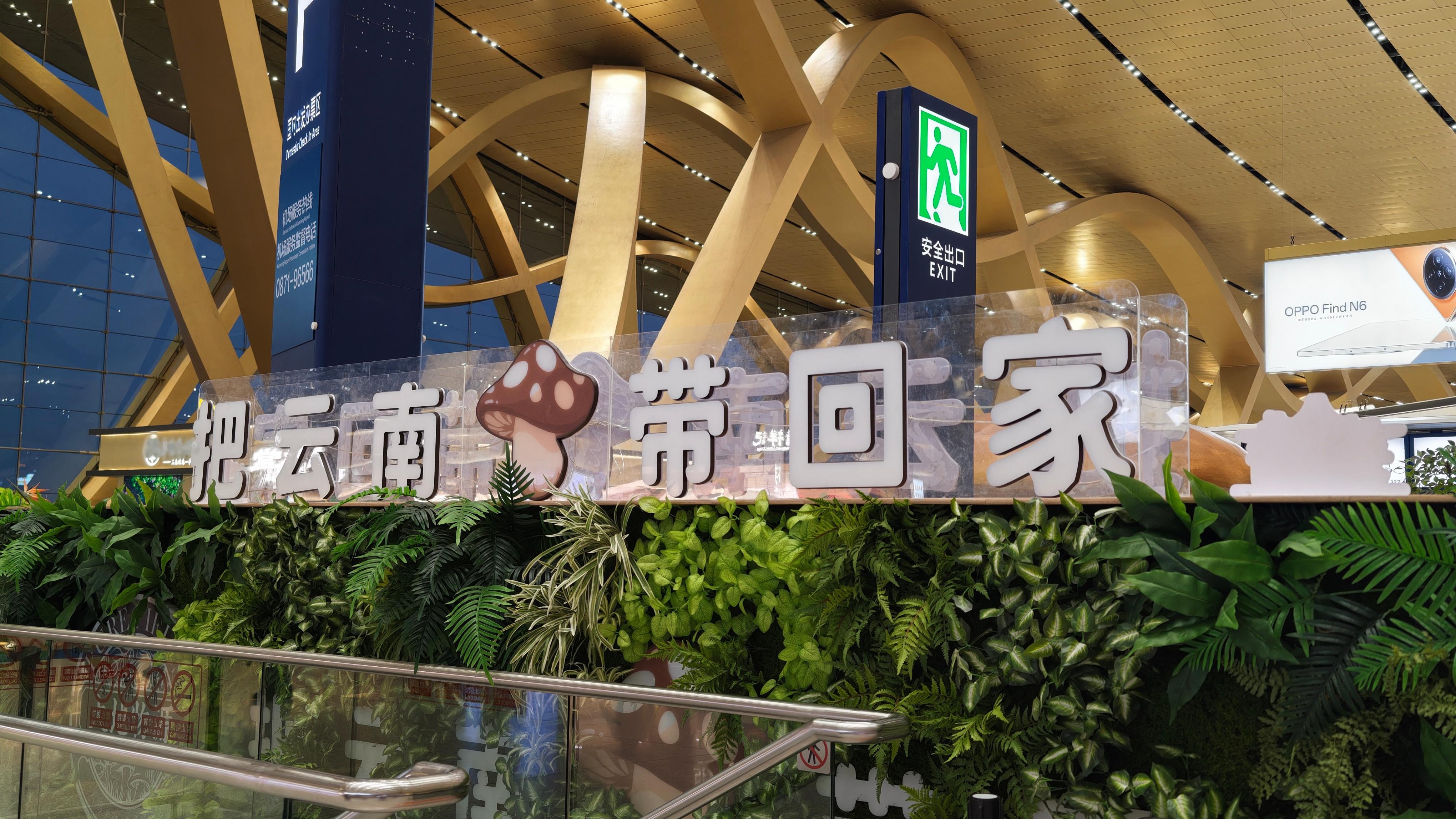 早班🐔，易安检都没开放呢，云南也这么卷吗？早上机场这么多人 昆明·昆明长水国际