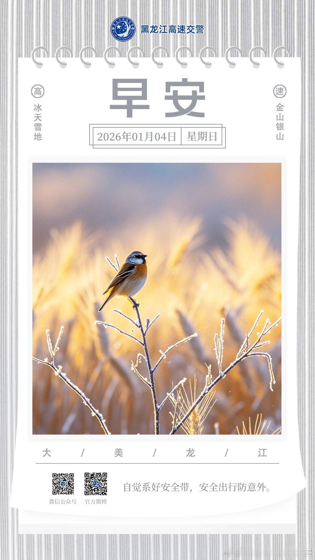 早安 自觉系好安全带，安全出行防意外。早安早安高小黑 （