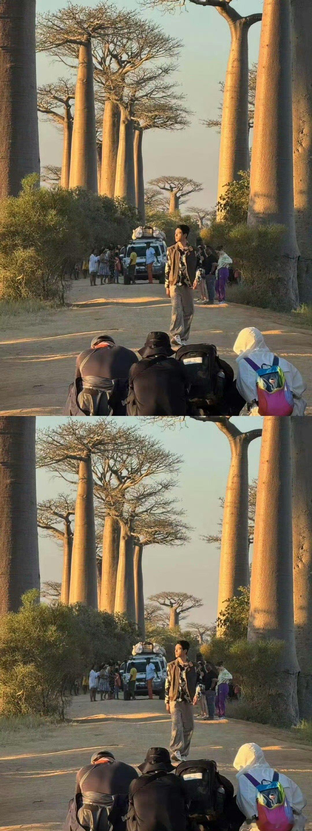花少7走秀阵容直接封神！龚俊单手比心超甜，运动少年感溢出屏幕；张晚意持卷诵读，温