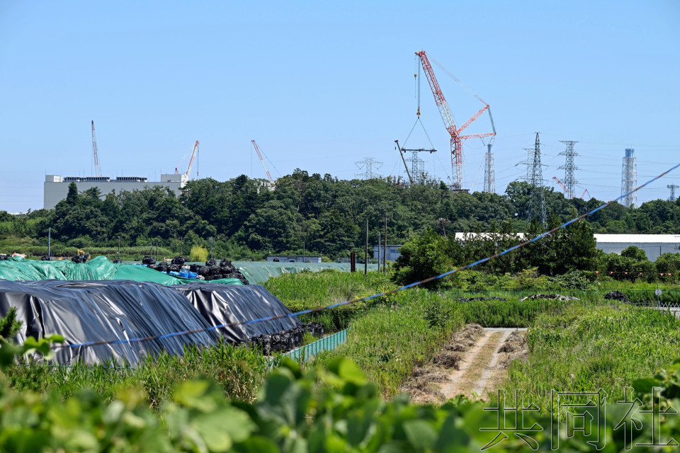 #日本海啸#【因海啸警报，#日本多地核电站暂停作业#】据消息，2025年07月3