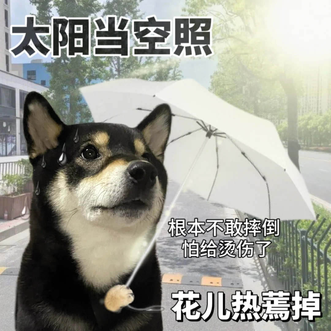 表情包|上班就是为了下班🥹