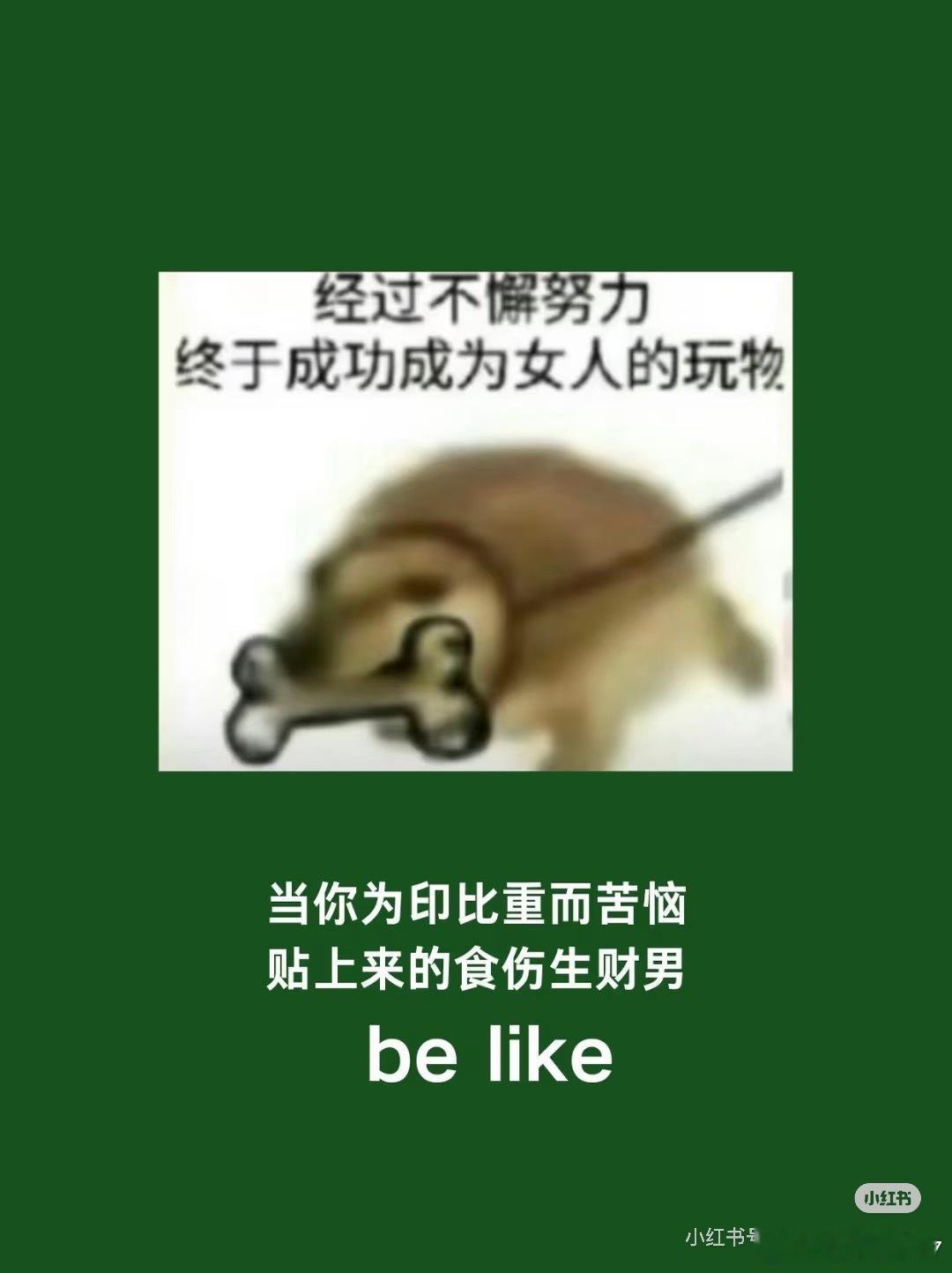 笑死我和他，就是这种组合 