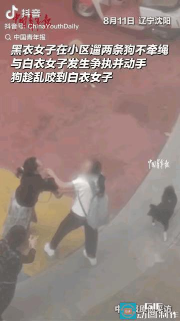 “太恶劣了！”辽宁沈阳，女子在小区遛两条狗不牵绳，一名过路的女子好心提醒她，不料