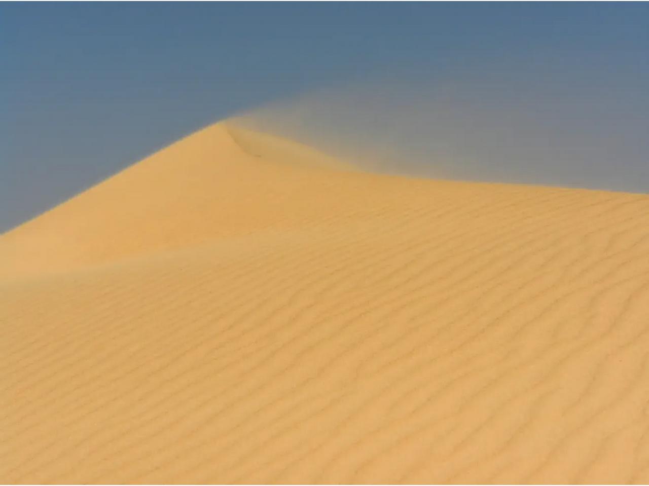 快来看看我新换的主页背景吧