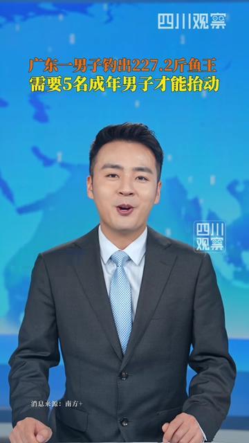 活了三十年，第一次见比沙发还长的鱼！

珠海庙湾海域，有人钓了条鱼王，
2.